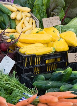 Fresh summer organic vegetables at the Port Townsend Farmers market